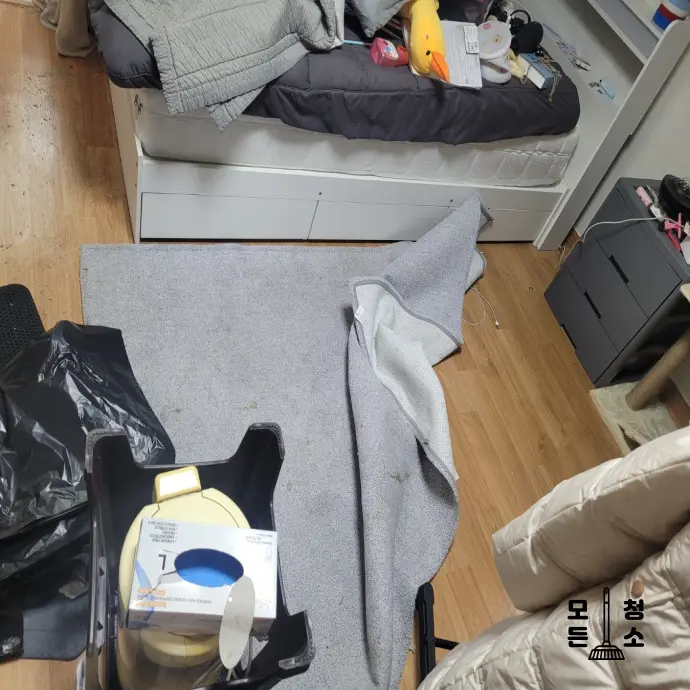 쓰레기집 청소 현장 사진