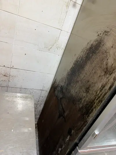 창원 음식점 청소, 오픈 전 필수 이유! 이 상태로는 절대 못 씁니다 현장 사진