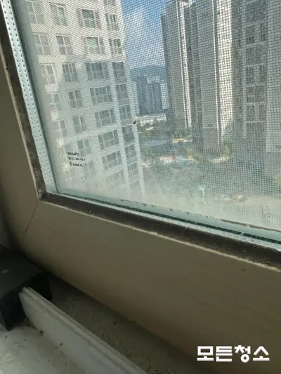 마산입주청소 곰팡이 제거까지 한번에 가능한 업체 현장 사진