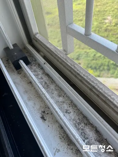 마산입주청소 곰팡이 제거까지 한번에 가능한 업체 현장 사진
