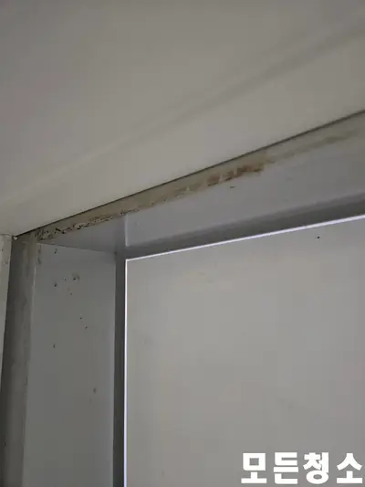 마산 사무실청소 바닥 화장실 모든 공간 관리 현장 사진