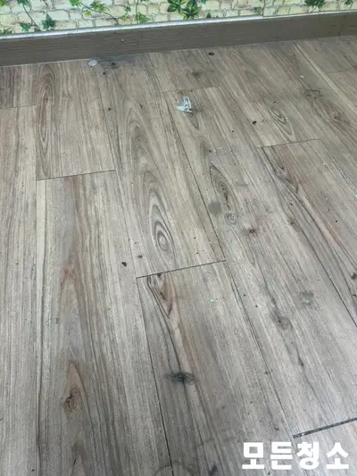마산원룸청소 이전 흔적은 없어지고 깨끗해진 공간 현장 사진