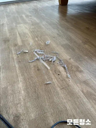 울산부분청소 원하는 부분만 합리적으로 청소하는법 현장 사진