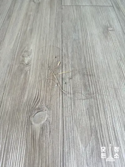 울산원룸청소 거주청소하면서 냄새제거도 하고싶다면 이글을 주목해주세요. 현장 사진